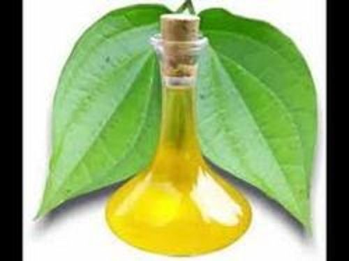 Organic Betel Leaf Essential Oil