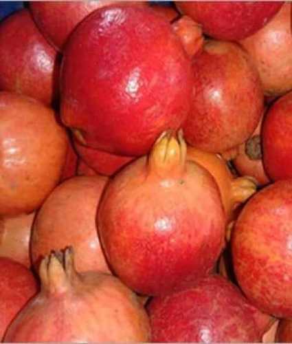 Organic Fresh Pomegranate Fruit