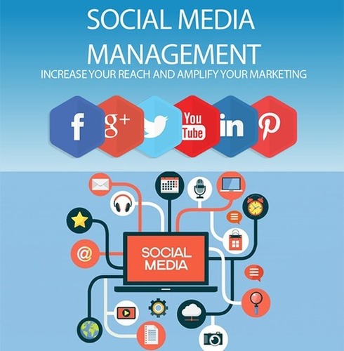 Social Media Marketing Services By TTC Robotronics Pvt. Ltd.