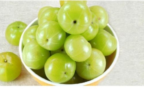 Common Fresh Organic Green Gooseberry