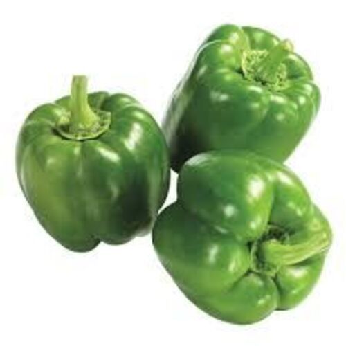 Healthy and Natural Fresh Green Capsicum