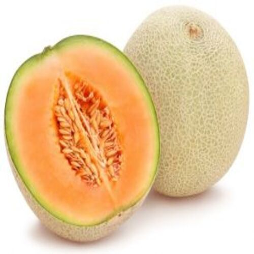 Healthy And Natural Fresh Muskmelon