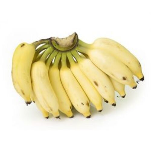 Healthy And Natural Organic Fresh Yellow Banana Size: Standard