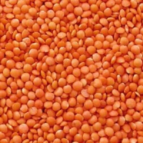 Clean Healthy Pure Red Masoor Dal 
