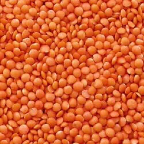 Organic Clean Healthy Pure Red Masoor Dal 