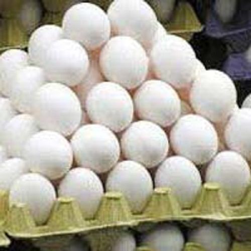 Fresh White Chicken Eggs Egg Size: Various Sizes Are Available