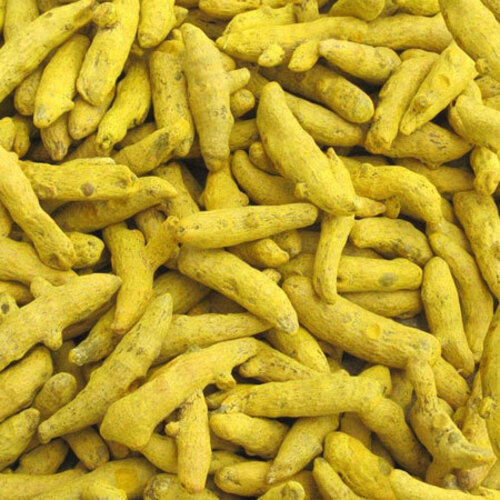 Healthy And Natural Dried Yellow Turmeric Finger Grade Food Grade At