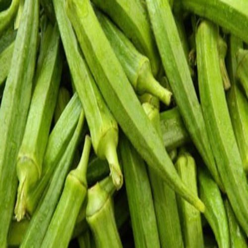 Healthy and Natural Fresh Green Okra