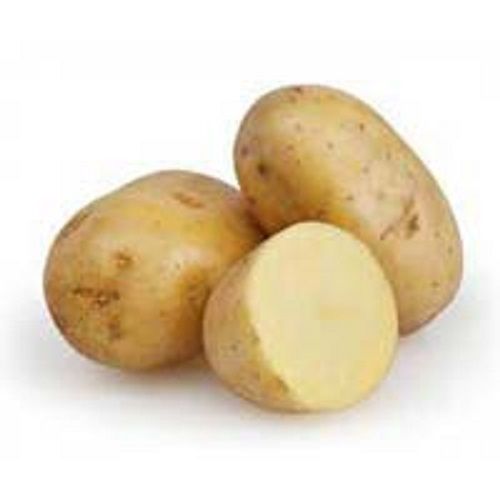 Natural Indian Origin Fresh Potato