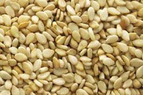 Indian Origin Sesame Seeds