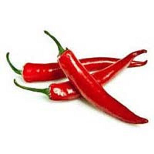 Spicy Fresh Red Chilli