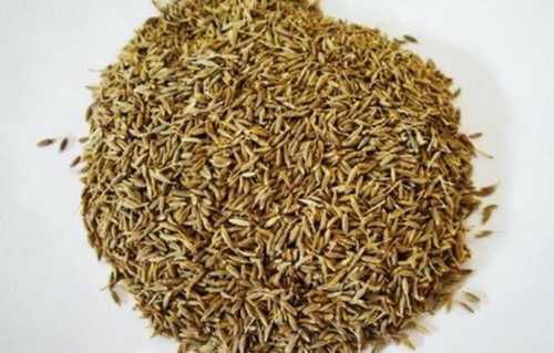 Gluten Free Grain Seeds with Natural Test