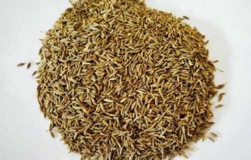 Brown Gluten Free Grain Seeds With Natural Test