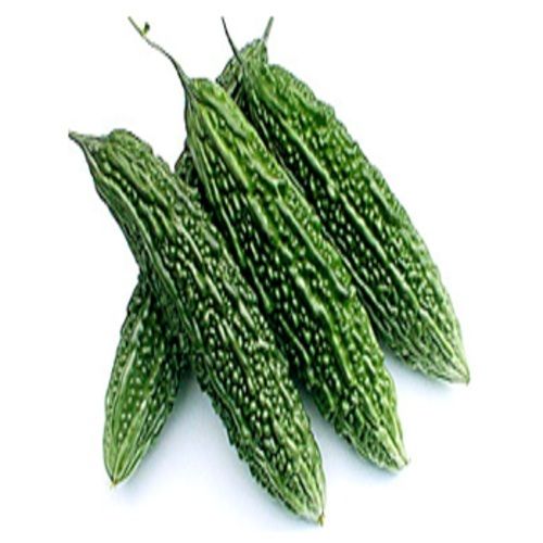 Healthy and Natural Fresh Green Bitter Gourd