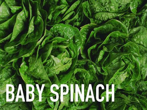 Pvc Healthy And Natural Organic Fresh Baby Spinach