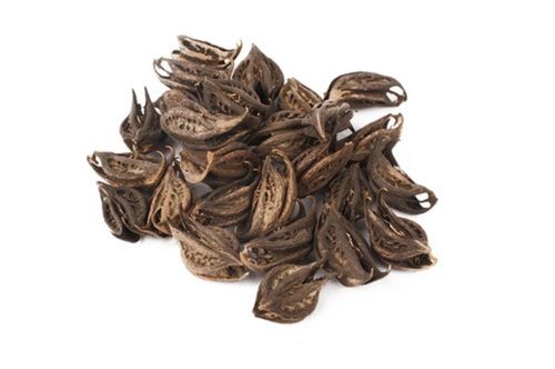 Organic Dried Bichhu Phal (Baghnak)