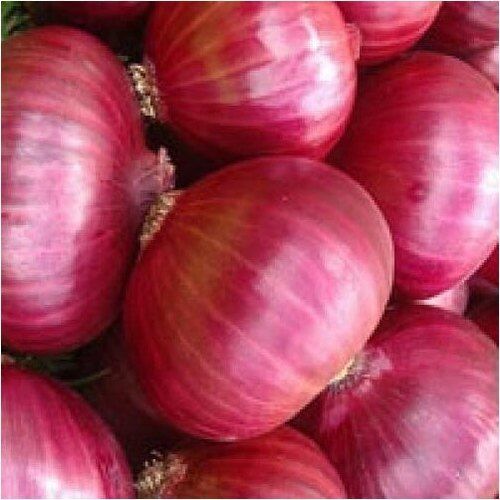 Organic Fresh A Grade Red Onion