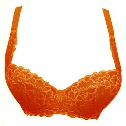 Padded Ladies Embroidered Red Bra at Best Price in Tirupur