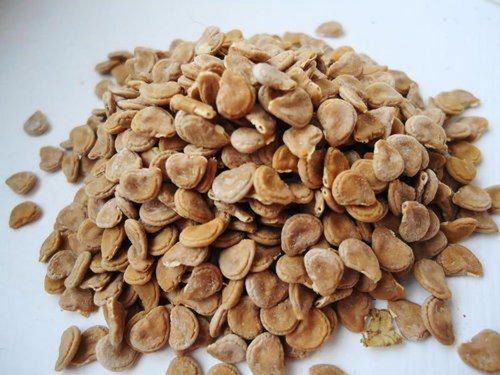 Natural Dried Dhatura (Thorn Apple)