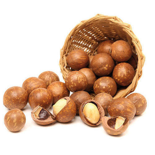 Natural Fresh Macadamia Nuts