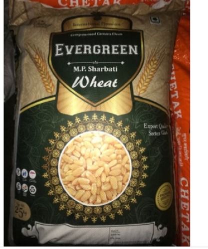 Evergreen Mp Sharbati Wheat