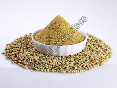 Natural Coriander Powder for Cooking