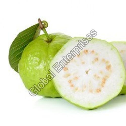 Natural Green Fresh Guava