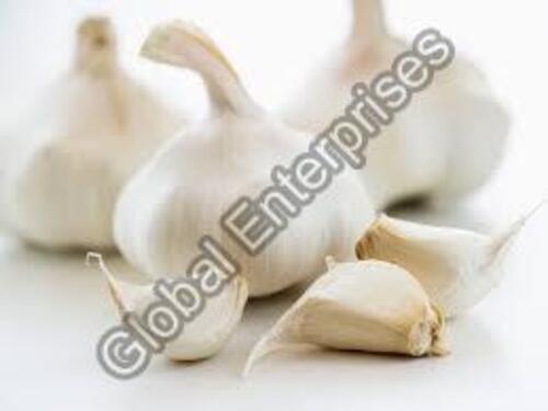 Organic Fresh Garlic for Cooking
