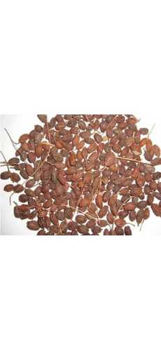 Herbal Product Organic Dried Neem Fruit