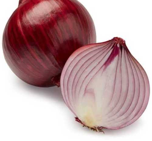 A Grade Red Onion 
