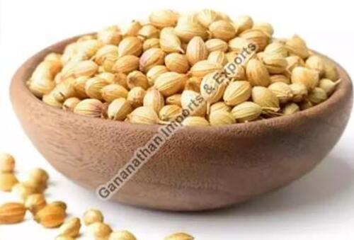 Dried Coriander Seeds for Cooking