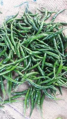 Green Chillies for Cooking