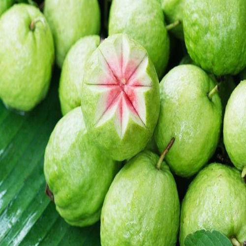 Healthy And Natural Fresh Guava Shelf Life: 3-5 Days