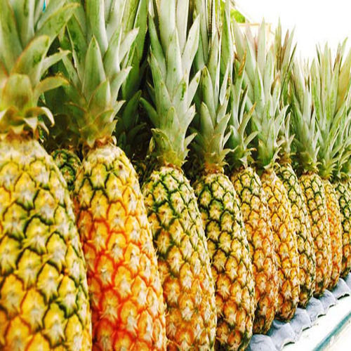 Healthy and Natural Fresh Pineapple