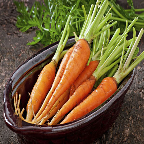 Healthy And Natural Organic Fresh Carrot Shelf Life: 1 Week