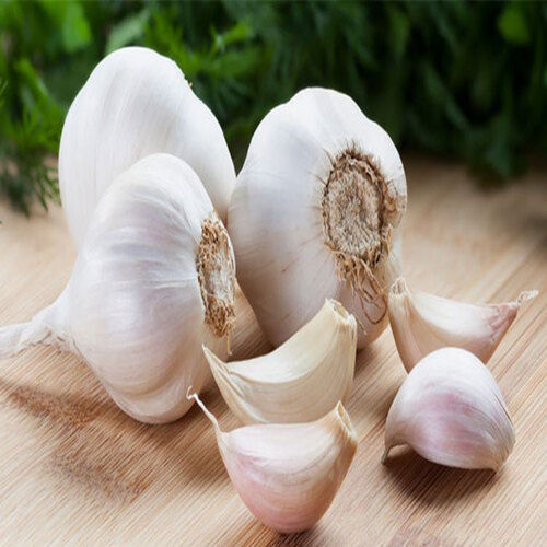 Healthy and Natural Organic Fresh Garlic