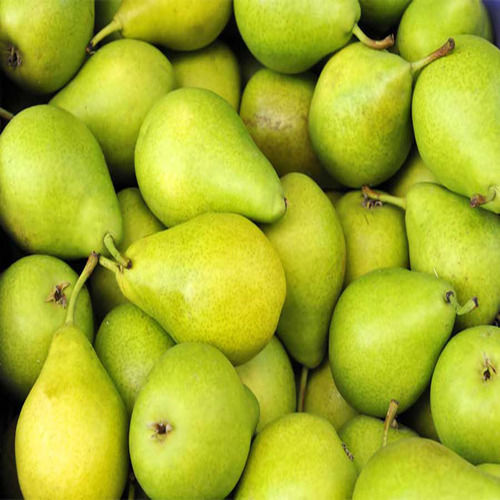 Healthy And Natural Organic Fresh Green Pears Shelf Life: 7 Days