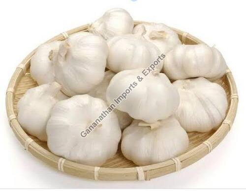 Organic Fresh Garlic For Cooking