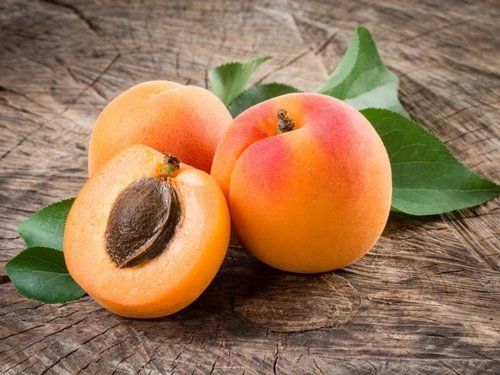 Healthy and Natural Fresh Apricots