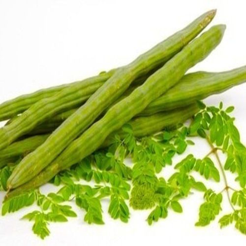 Healthy And Natural Organic Fresh Green Drumsticks Moisture (%): 86.9%