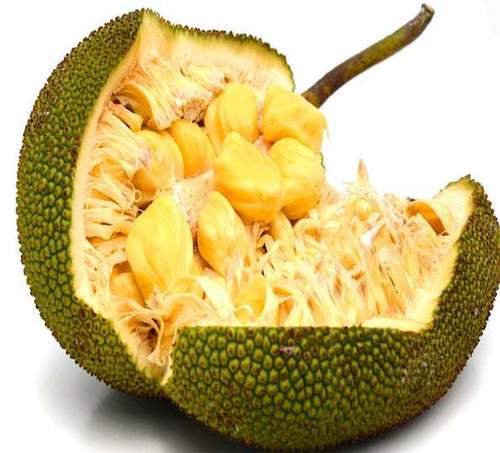 Healthy and Natural Organic Fresh Jackfruit