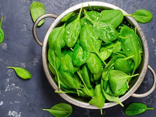 Healthy and Natural Organic Green Fresh Spinach