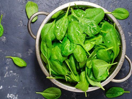 Healthy And Natural Organic Green Fresh Spinach Shelf Life: 1 Months