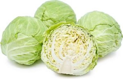 Natural Fresh Cabbage for Cooking