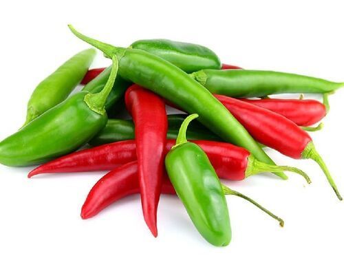 Natural Fresh Chilli for Cooking