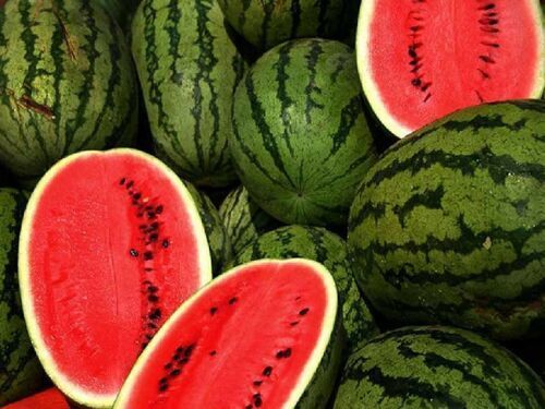 Natural Fresh Watermelon for Food