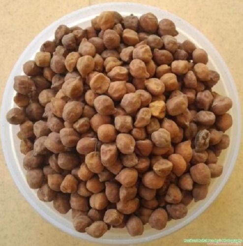 Roasted Bengal Gram Chana Shelf Life: 1 Years