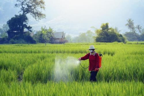 एंटी बैक्टीरियल बायो पेस्टिसाइड्स अनुप्रयोग: कृषि