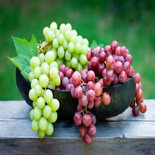 Red & Green Healthy And Natural Organic Fresh Grapes