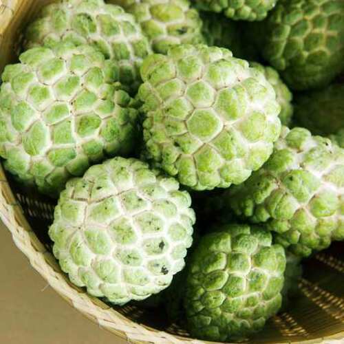 Healthy And Natural Organic Fresh Green Custard Apple Size: Standard